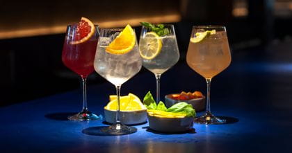 Group of 4 Nachtmann Gin & Tonic Glasses