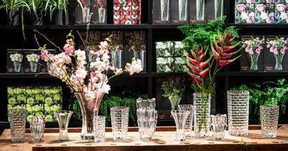 Nachtmann Vases lined up with packaging in background 4000x2100px