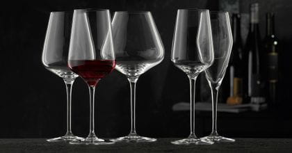 The NACHTMANN Vinova crystal glass series with the with red wine filled red wine glass and the empty Bordeaux glass, Burgundy glass, White Wine Glass and Champagne glass.<br/>