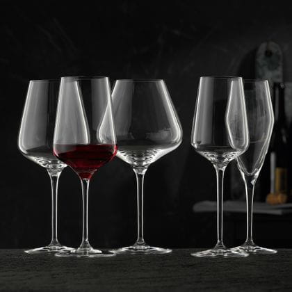 La série de verres en cristal Vinova de NACHTMANN comprend le verre à vin rouge rempli de vin rouge et le verre à vin blanc, le verre à vin de Bourgogne, le verre à vin blanc et le verre à champagne vides.<br/>