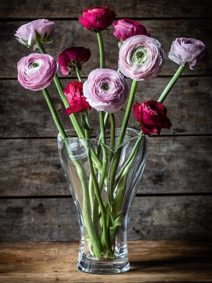 Die Kristallvase NACHTMANN Calypso, gefüllt mit rosa Ranunkeln und roten Rosen auf einer hölzernen Anrichte.<br/>